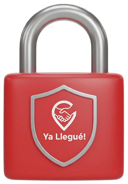 Security Illustration